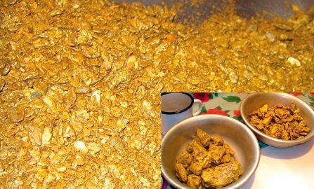 Rice. 5. Placer gold.jpg 