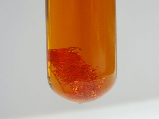 Gold dissolves in aqua regia